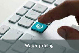 Water pricing